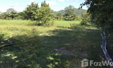 Land for sale in Mueang Chum, Chiang Rai