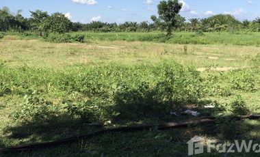 Land for sale in Mueang Chum, Chiang Rai