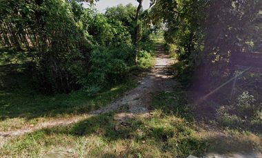 Land for sale in Mueang Chum, Chiang Rai