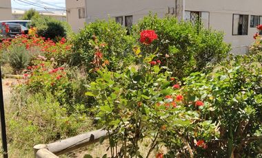 DEPTO 3D 1B PARA MARZO 2026 PARD 11 1/2 A DISPONIBLE