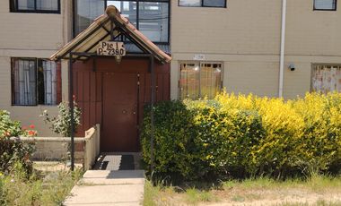 DEPTO 3D 1B PARA MARZO 2026 PARD 11 1/2 A DISPONIBLE