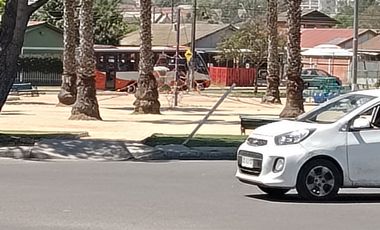 DEPTO 3D 1B PARA MARZO 2026 PARD 11 1/2 A DISPONIBLE