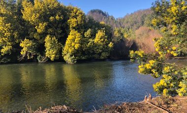 VENTA DE PARCELA RIO CRUCES, REGION DE LOS RIOS