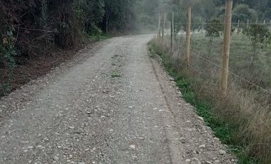 VENTA DE PARCELA RIO CRUCES, REGION DE LOS RIOS