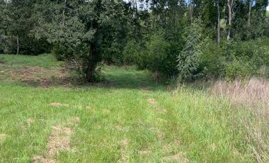 VENTA DE PARCELA RIO CRUCES, REGION DE LOS RIOS