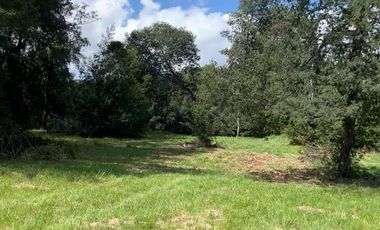 VENTA DE PARCELA RIO CRUCES, REGION DE LOS RIOS