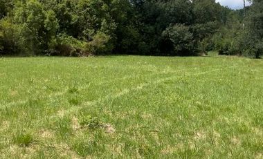 VENTA DE PARCELA RIO CRUCES, REGION DE LOS RIOS