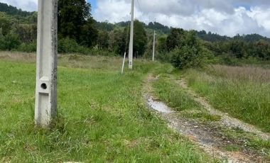 VENTA DE PARCELA RIO CRUCES, REGION DE LOS RIOS