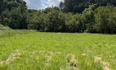 VENTA DE PARCELA RIO CRUCES, REGION DE LOS RIOS