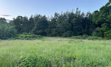 VENTA DE TERRENO - SECTOR BENUMAPU - CARRETERA SUR 788 KM