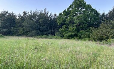 VENTA DE TERRENO - SECTOR BENUMAPU - CARRETERA SUR 788 KM