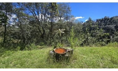 Casa de Campo con Bungalow  en Venta en Tlahuapan, Puebla