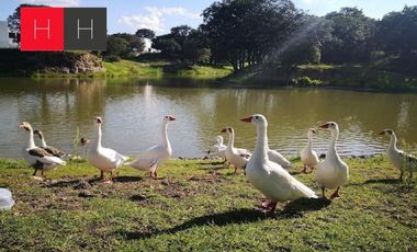 Venta de Terreno  en Haras Campestre