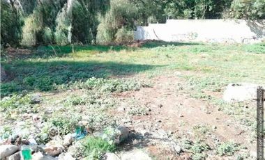 Terreno en Renta en Forjadores