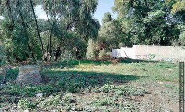 Terreno en Renta en Forjadores