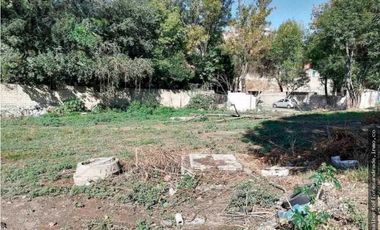 Terreno en Renta en Forjadores