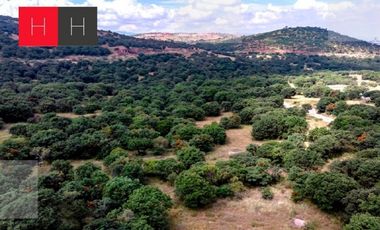 Terreno en venta en Haras