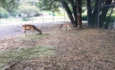 Venta de Terreno en Haras Campestre