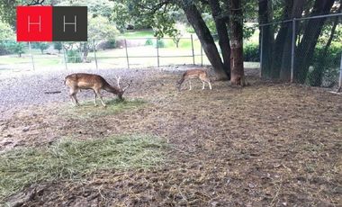 Venta de Terreno en Haras Campestre