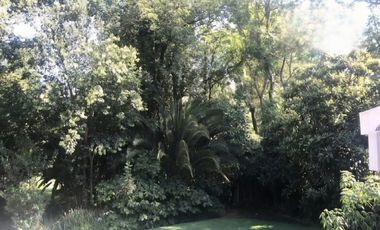 Loft en Renta Amueblado en San Jose del Puente.