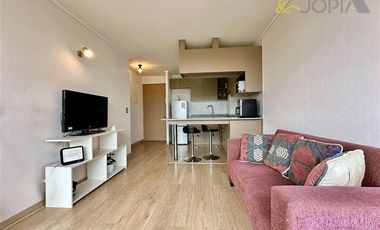 Departamento en Arriendo en Camino Troncal 2300 , Condominio Parque Peñablanca, Villa Alemana