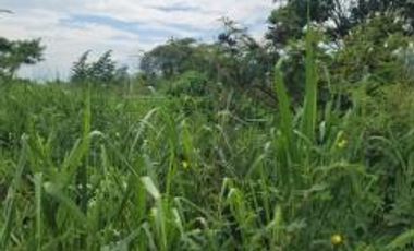 Terreno en  la Calle Tercera Longitudinal, Sector Lotización Sara Cavero El Oro . Santa Rosa 200 m2