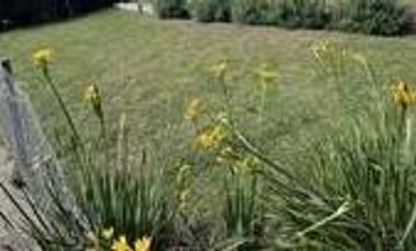 Casa en venta al río de  4 cuartos,  dos en suite, en Albanueva, Barrio Náutico ,  Tigre