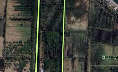 CHACRA DE 5 HA EN VENTA EN FERNANDEZ ORO, RIO NEGRO