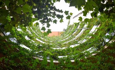 Departamento  en Venta en la Roma Norte, ¡Atención Inversionistas!