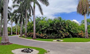 Único Lote Frente al Mar en Rosewood Mayakoba | Oportunidad Irrepetible