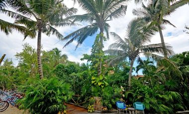 Único Lote Frente al Mar en Rosewood Mayakoba | Oportunidad Irrepetible