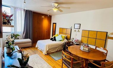 Departamento Remodelado en Providencia