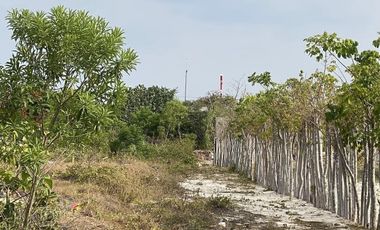 TERRENO EN LA PLAYA DE CHICXULUB PUERTO EN MERIDA YUCATAN