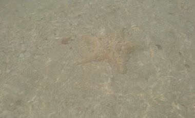 VENTA DE TERRENO YUCATÁN