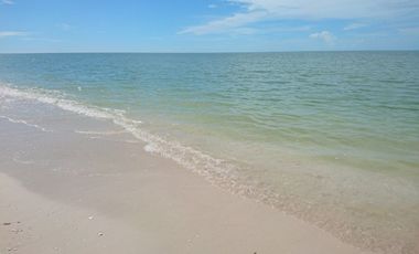 VENTA DE TERRENO YUCATÁN