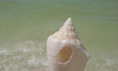 VENTA DE TERRENO YUCATÁN