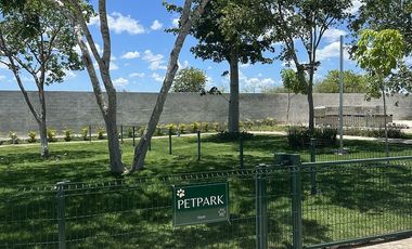 Terreno en venta al norte de Mérida