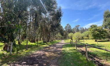 En Venta Finca - Casa lote ubicada en Fagua, Chia