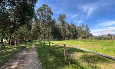 En Venta Finca - Casa lote ubicada en Fagua, Chia