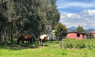 En Venta Finca - Casa lote ubicada en Fagua, Chia