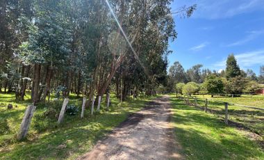 En Venta Finca - Casa lote ubicada en Fagua, Chia