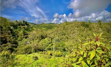 Venta Lote CON AMPLIA FINANCIACION Parcelacion El Retiro