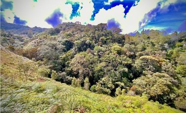 Venta Lote CON AMPLIA FINANCIACION Parcelacion El Retiro