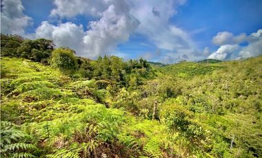 Venta Lote CON AMPLIA FINANCIACION Parcelacion El Retiro