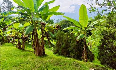 VENTA DE CASA FINCA INDEPENDIENTE EN AMAG - 2 CASAS