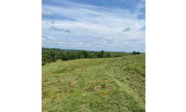 FINCA AGROPECUARIA EN VENTA - SAN JOSÉ DEL FRAGUA | CAQUET