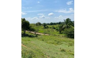 FINCA AGROPECUARIA EN VENTA - SAN JOSÉ DEL FRAGUA | CAQUET