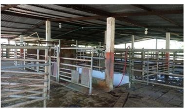 FINCA AGROPECUARIA EN VENTA - SAN JOSÉ DEL FRAGUA | CAQUET