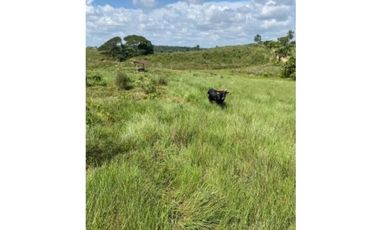 FINCA AGROPECUARIA EN VENTA - SAN JOSÉ DEL FRAGUA | CAQUET