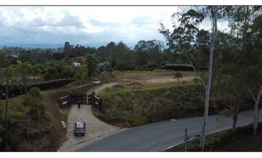 LOTE EN LA VIA A SAN VICENTE Y CON GRAN VISTA